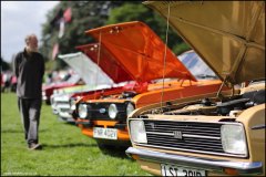 himley_ford_9